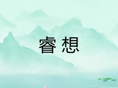 睿想