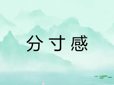 分寸感