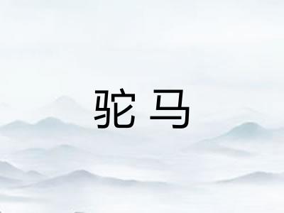驼马