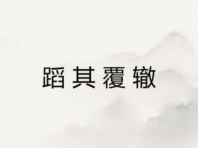 蹈其覆辙