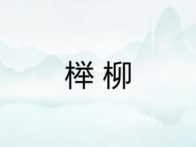 榉柳