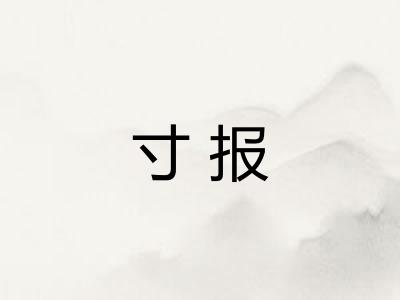寸报