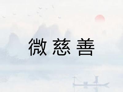 微慈善