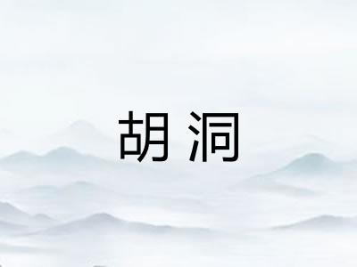 胡洞