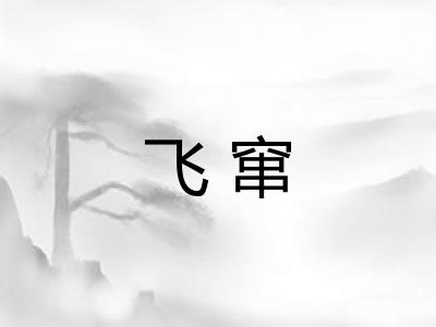 飞窜