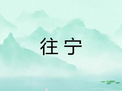 往宁