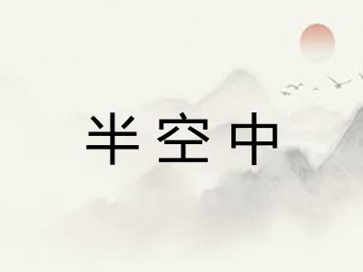 半空中
