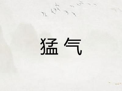 猛气