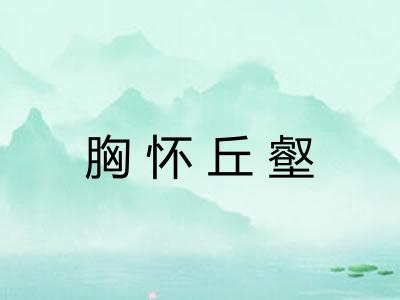 胸怀丘壑