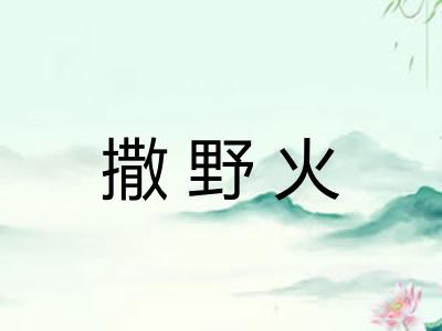 撒野火