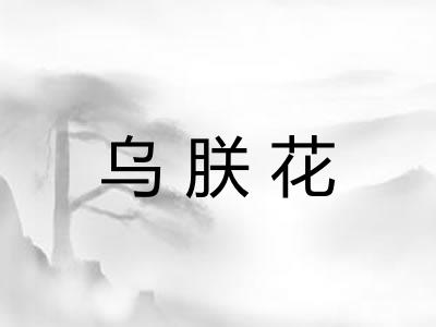 乌朕花