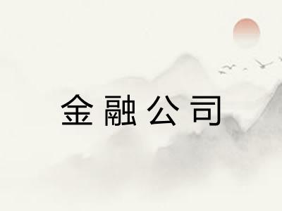 金融公司