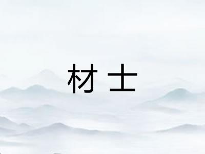 材士