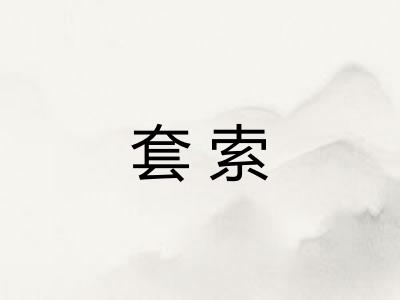 套索