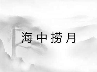 海中捞月