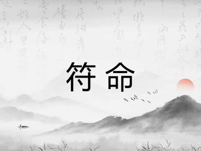 符命