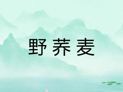 野荞麦