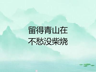 留得青山在不愁没柴烧