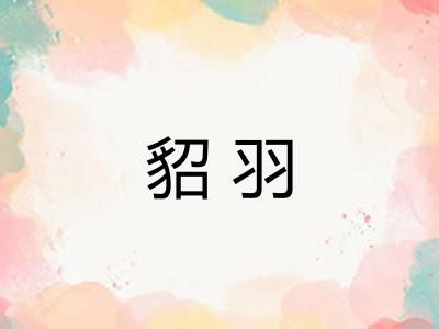 貂羽