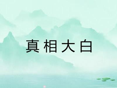 真相大白