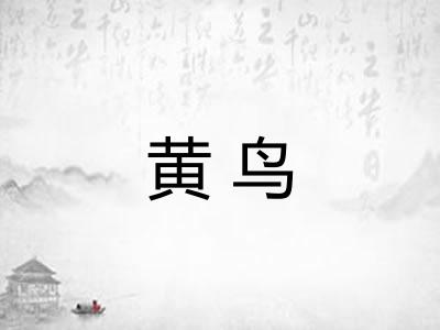 黄鸟