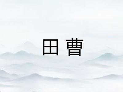 田曹