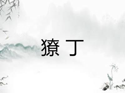 獠丁