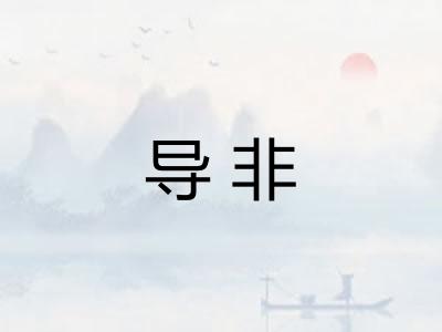 导非