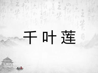 千叶莲