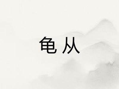龟从