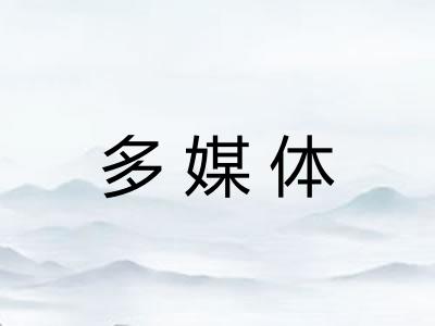 多媒体