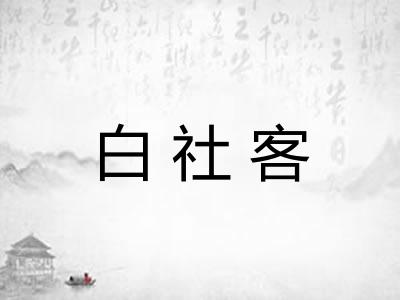 白社客
