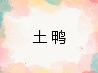 土鸭