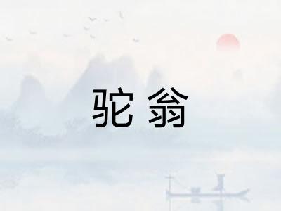 驼翁