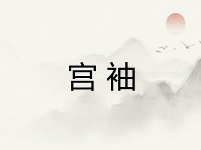 宫袖