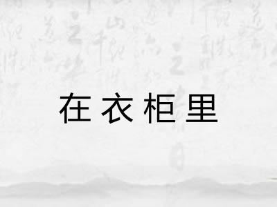 在衣柜里