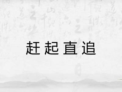 赶起直追