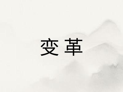 变革