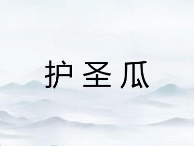 护圣瓜