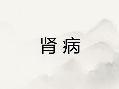肾病