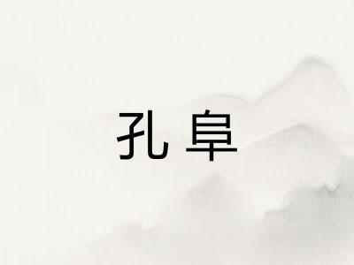 孔阜