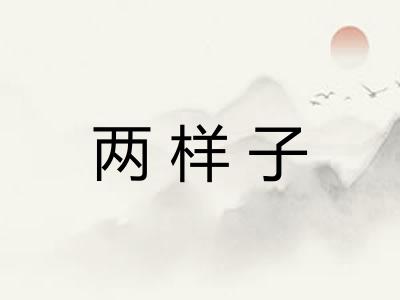 两样子