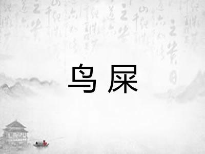 鸟屎