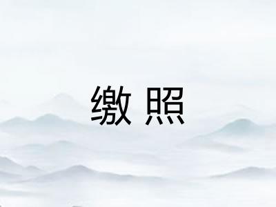 缴照