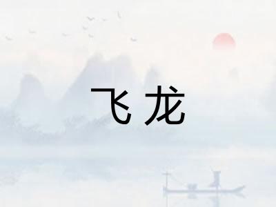 飞龙
