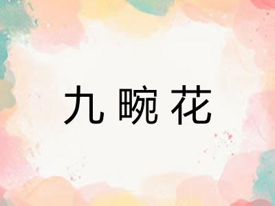 九畹花