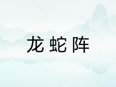 龙蛇阵