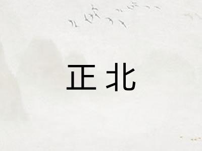 正北