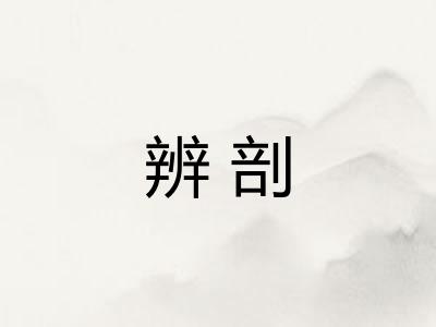 辨剖