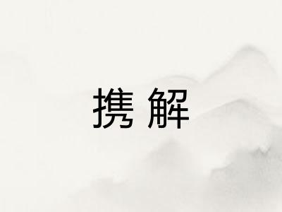 携解